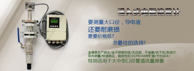 供應(yīng)用于生產(chǎn)的插入式電磁流量計(jì) SASDCR插入式電磁流量計(jì)