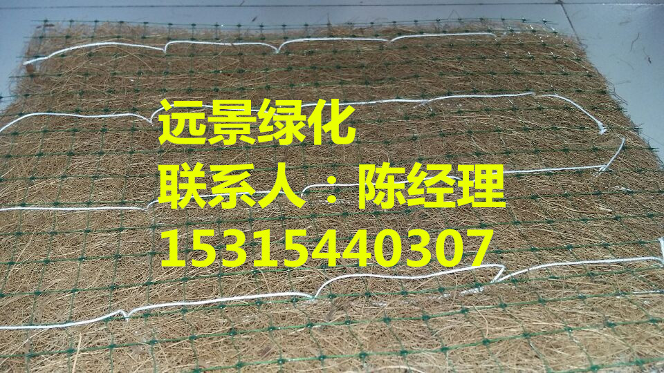 廠家*南昌遠(yuǎn)景植物纖維毯環(huán)保草毯邊坡護(hù)坡材料