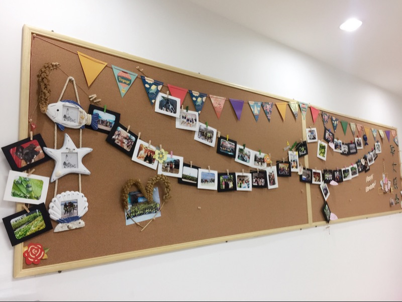 佛山耐用幼兒園軟木板T遼陽絨布軟木料T軟木板可移動掛鉤