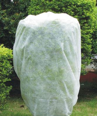 江蘇農(nóng)用無(wú)紡布 江蘇農(nóng)用無(wú)紡布廠家 江蘇農(nóng)用無(wú)紡布價(jià)格 農(nóng)用無(wú)紡布哪家好