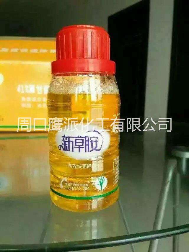 遼寧撫順縣*連根拔*的代理批發(fā)