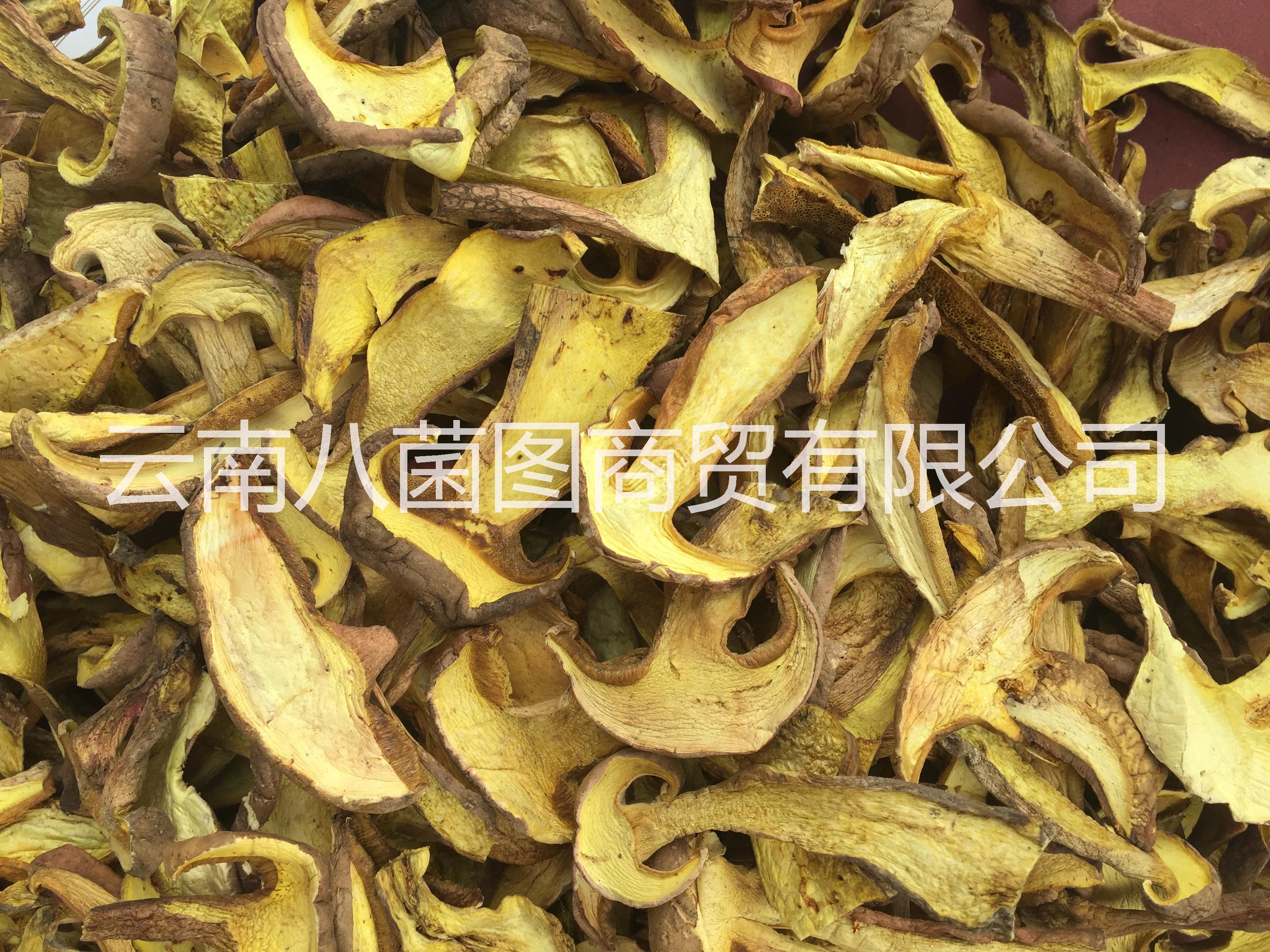 云南水白蔥菌 水白蔥菌批發(fā) 水白蔥菌供應(yīng)商 水白蔥菌哪里好