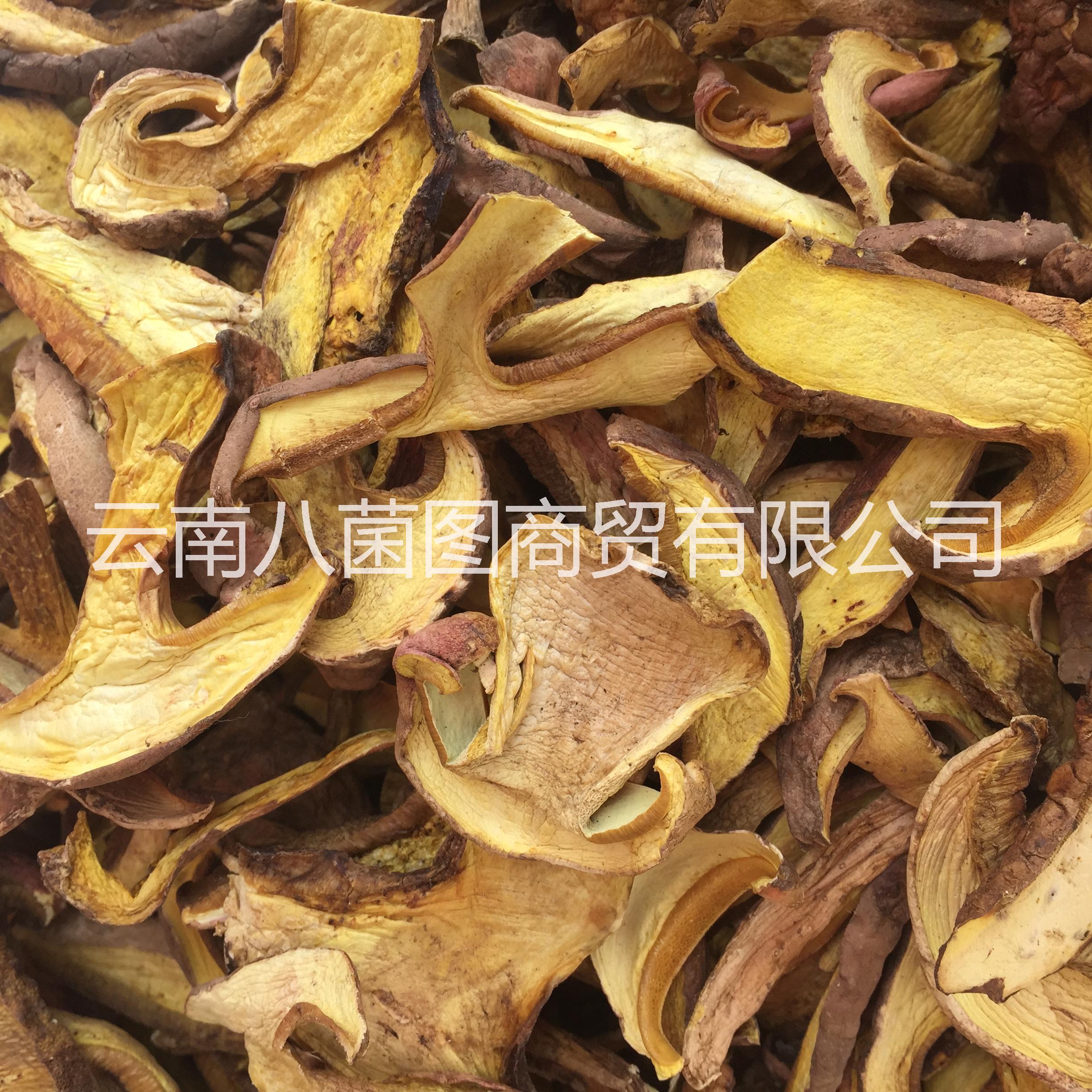 云南水白蔥菌 水白蔥菌批發(fā) 水白蔥菌供應(yīng)商 水白蔥菌哪里好