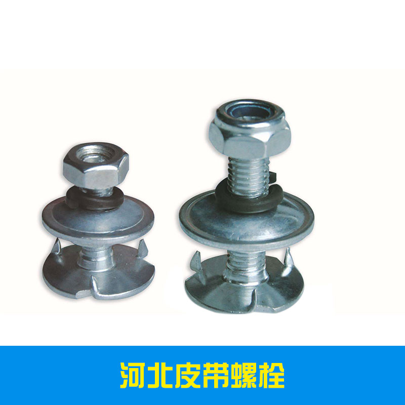 河北皮帶螺栓出售專(zhuān)業(yè)制造商 永年高強(qiáng)度皮帶螺栓制造廠家報(bào)價(jià) 量大優(yōu)惠