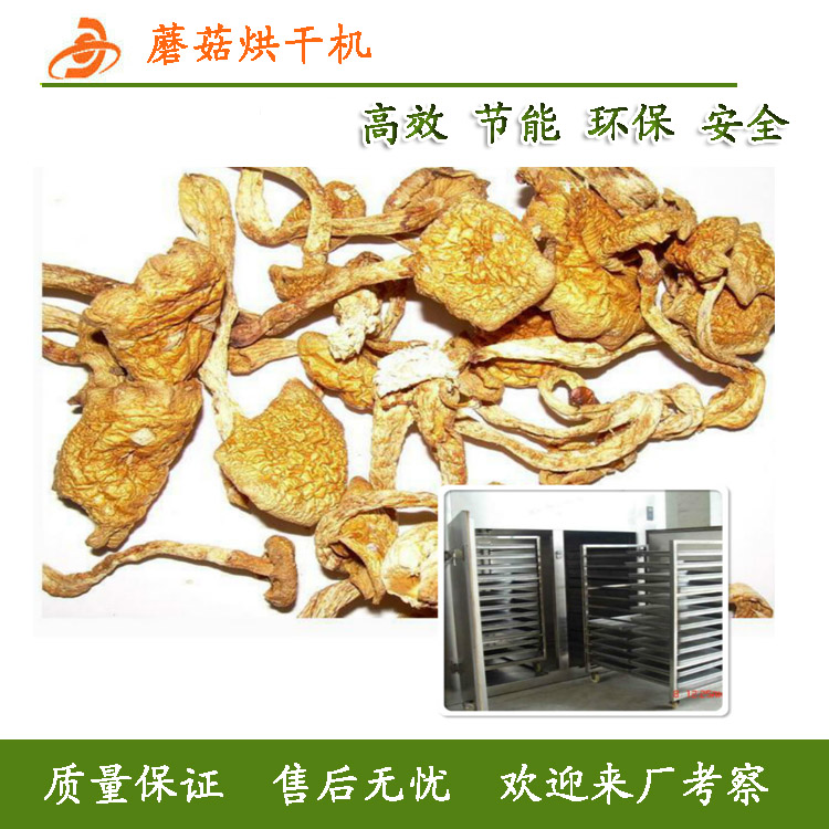 山東濰坊蔬菜烘干機(jī)  蔬菜烘干機(jī)多少錢一臺(tái) 大型蔬菜烘干機(jī)設(shè)備