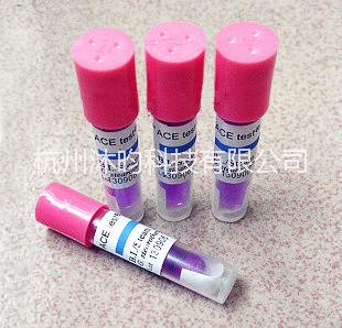 壓力蒸汽*生物培養(yǎng)指示劑ATCC7953