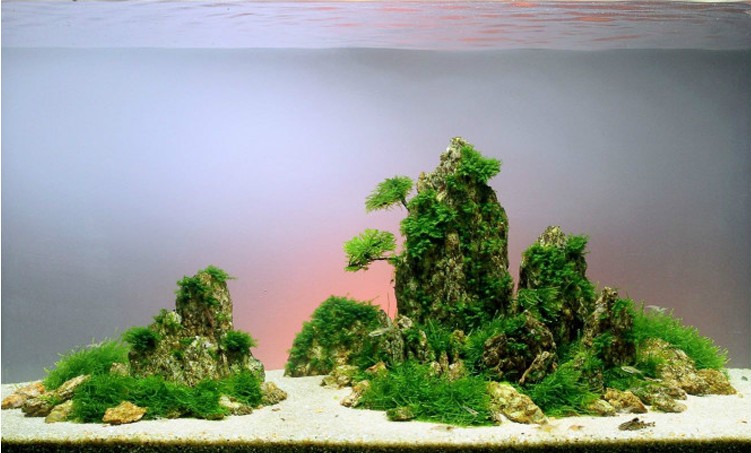 山東濱州粗河沙聯(lián)系方式 造景沙河沙魚缸底沙批發(fā)價格