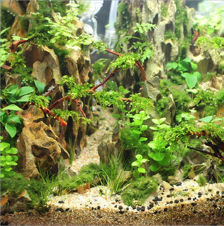 山東濱州粗河沙聯(lián)系方式 造景沙河沙魚缸底沙批發(fā)價格