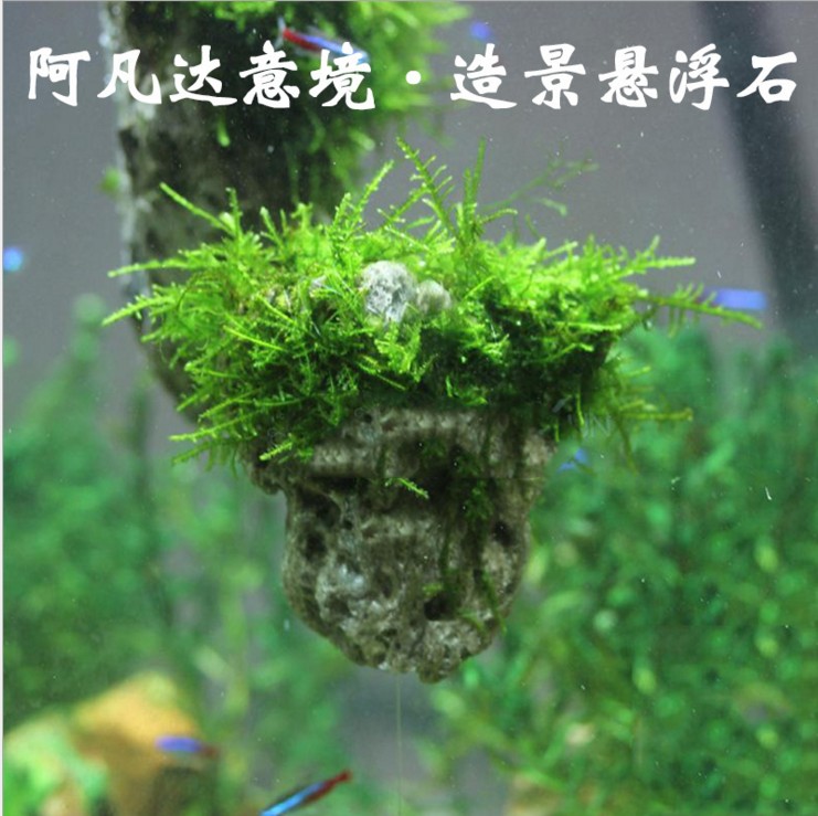 山東濱州水族造景懸浮石聯(lián)系方式阿凡達(dá)懸浮石批發(fā)價(jià)格
