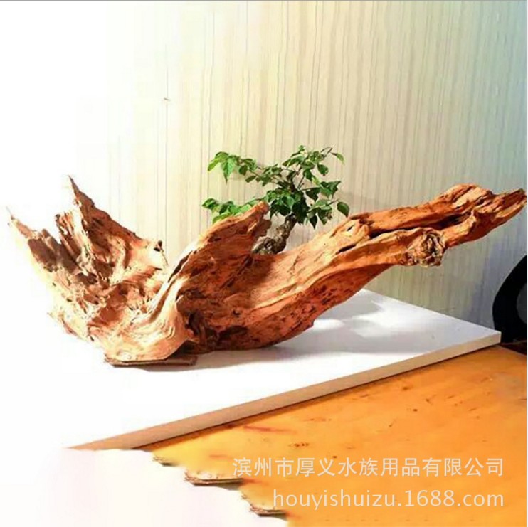 山東濱州拋光沉木聯(lián)系方式 流木水族造批發(fā)價格