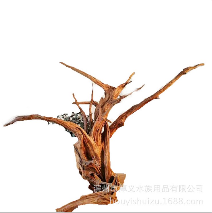 山東濱州拋光沉木聯(lián)系方式 流木水族造批發(fā)價格