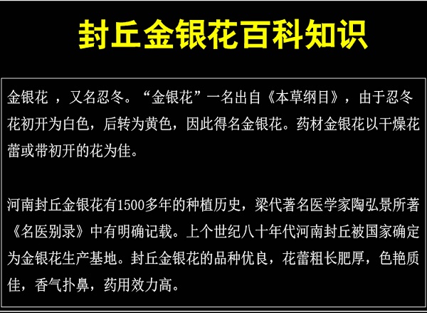 金銀花祛痘，金銀花泡水喝的功效