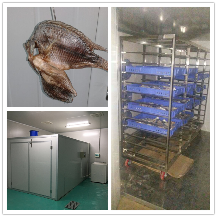 節(jié)能魚(yú)烘干機(jī) 淡水魚(yú)烘干機(jī) 黃花烘干機(jī) 青魚(yú)烘干機(jī) 小魚(yú)烘干設(shè)備