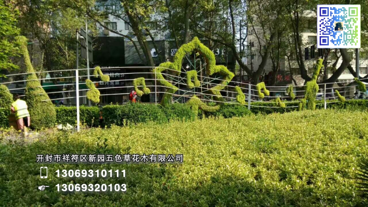 開封新園五色草植物立體造型