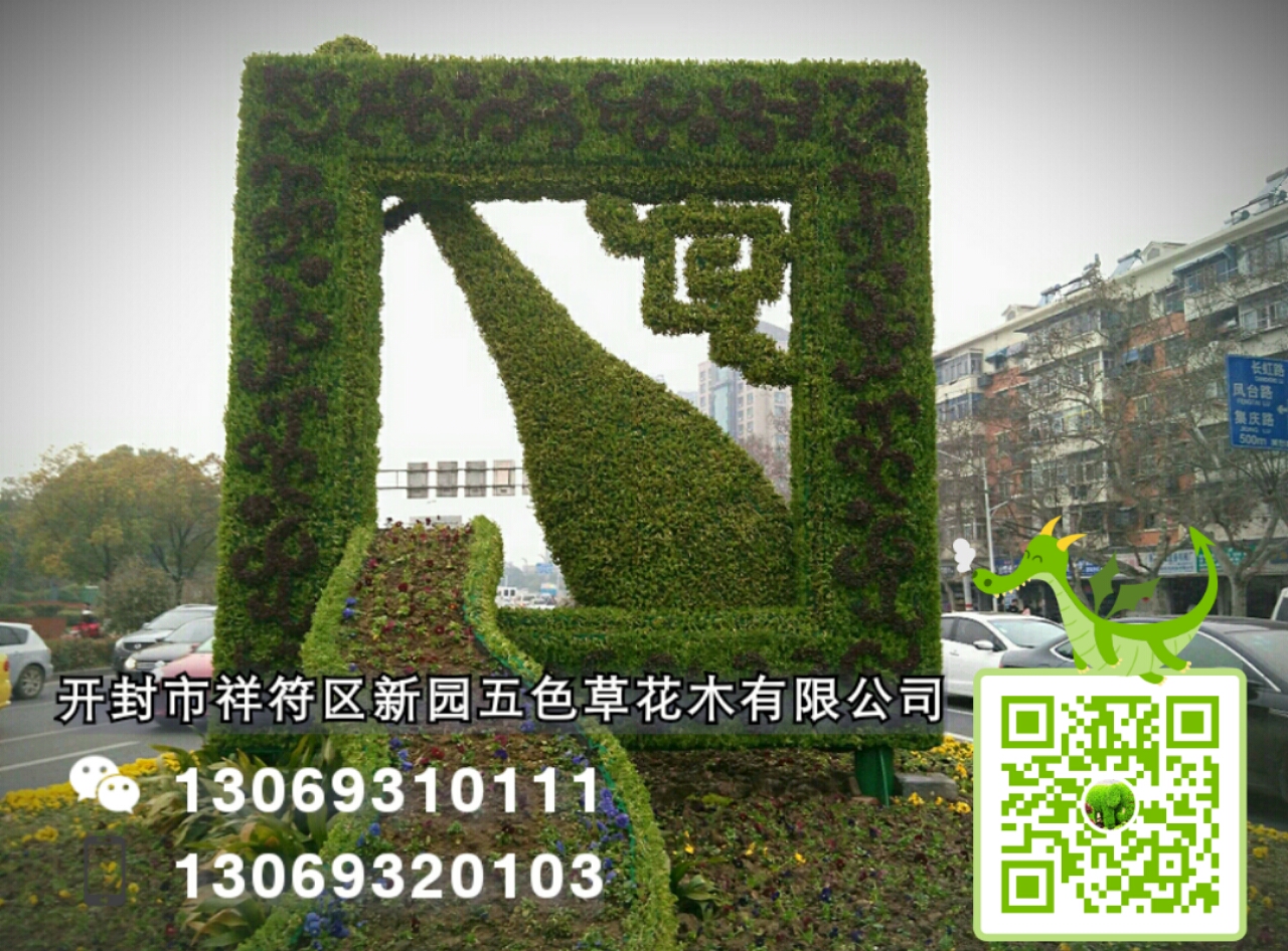 開封新園五色草造型--鳳飛九天 五色草立體造型--鳳飛九天