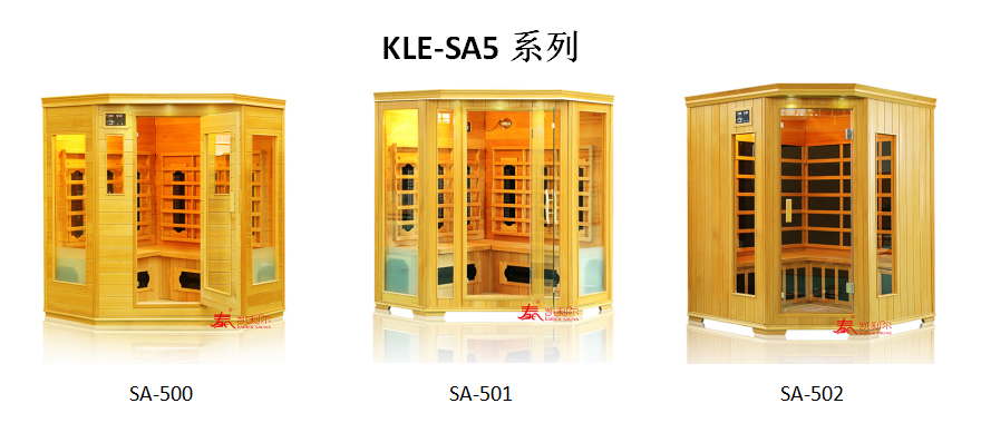 直銷 家用五人房桑拿房遠(yuǎn)紅外能量屋定制