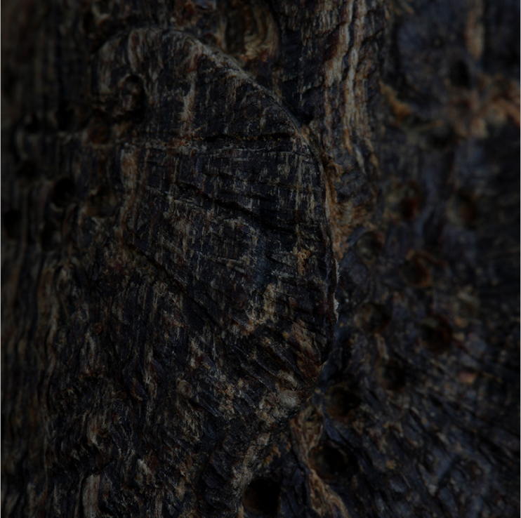 加里曼丹沉水隨型 沉香項(xiàng)鏈墜木雕