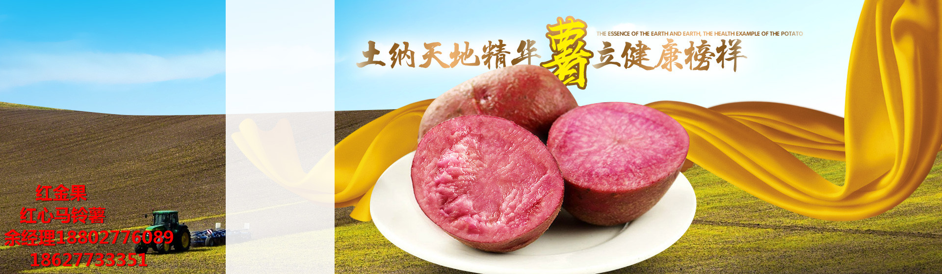 紅心馬鈴薯的功效與作用