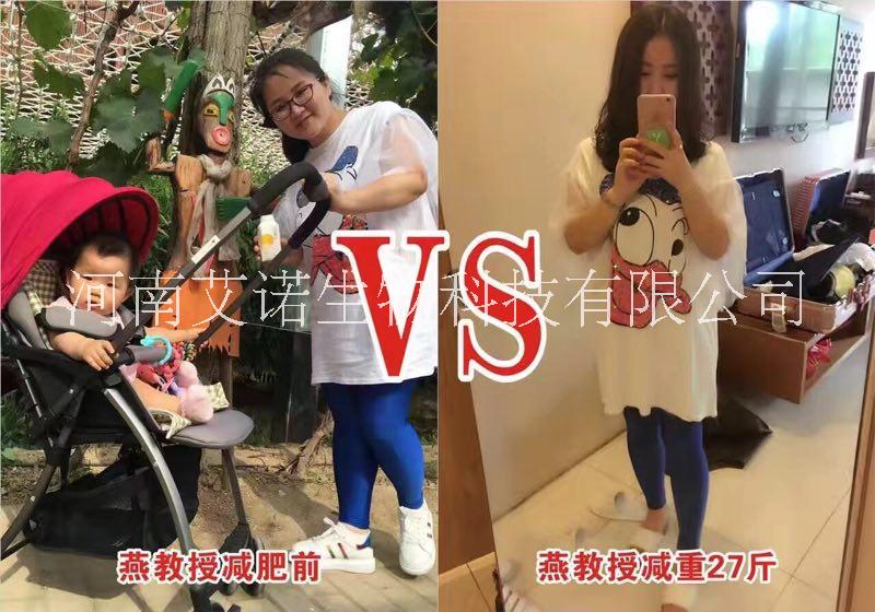 供應(yīng)燕教授七天*減肥解決方案|燕教授*燃脂咖啡