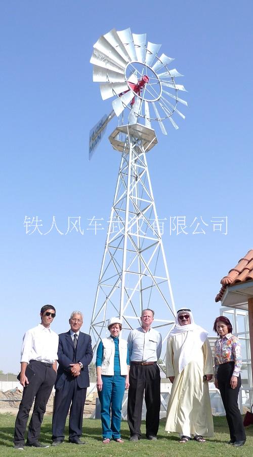 風(fēng)力*機(jī) 風(fēng)力提水機(jī) 提水風(fēng)車