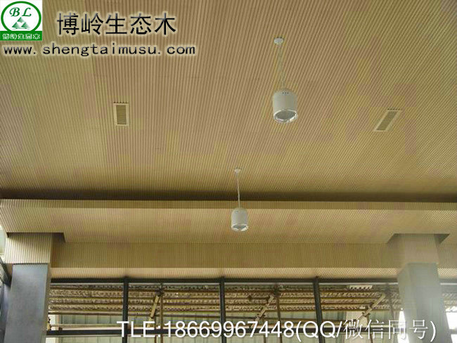 博嶺生態(tài)木天花輕鋼龍骨100*120天花