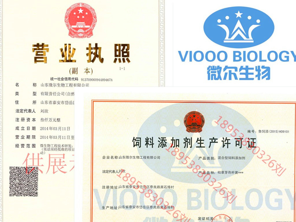 豬的益生素丨育肥豬益生素價(jià)格丨母豬益生素廠家