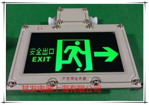 BAYD系列防爆標(biāo)志燈