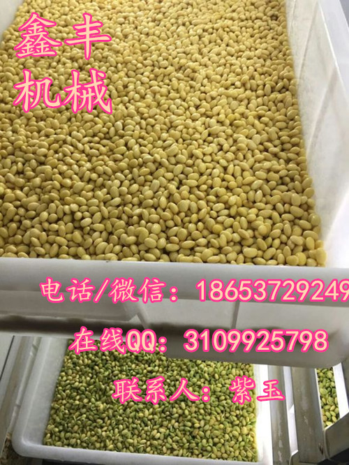 開封小型豆芽機(jī) 全自動豆芽機(jī) 自動豆芽機(jī)廠家