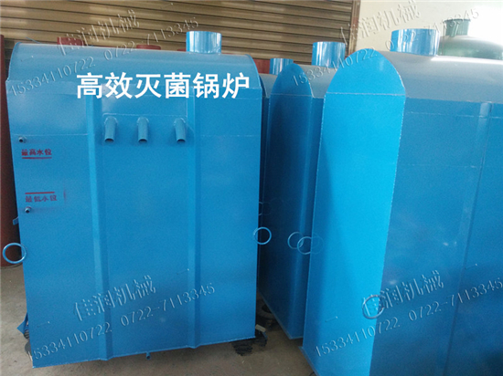 食用菌*鍋爐 常壓鐵式鍋爐 食用菌產(chǎn)蒸汽鍋爐