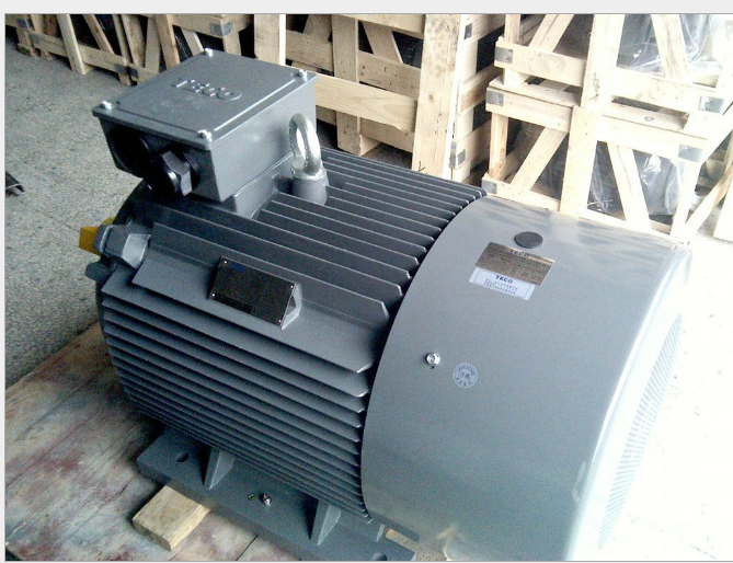 東元電機(jī) 15KW 4P AEEVVS 臥式3相 380V