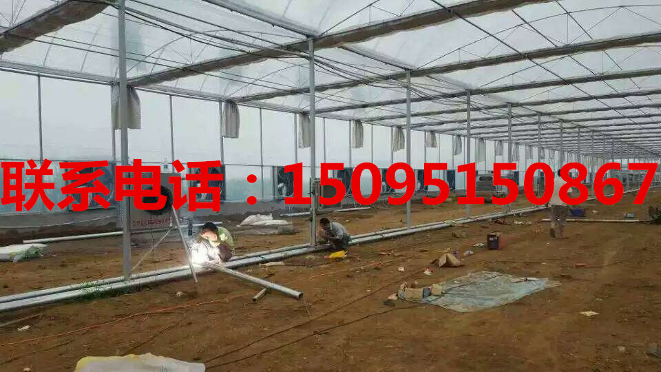 山西太原薄膜連棟溫室的價格