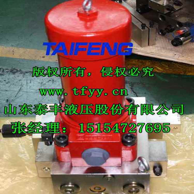 山東泰豐WC67Y-200CV二通插裝閥