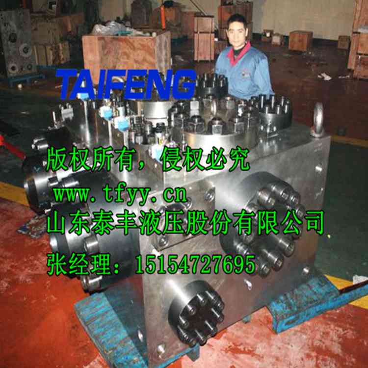 山東泰豐B46.3-4B-JH二通插裝閥