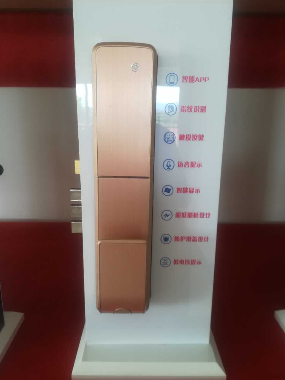 顧得興優(yōu)質(zhì)智能防盜安全指紋鎖