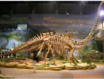 仿真恐龍 機(jī)械恐龍 恐龍骨架 大型恐龍   大型恐龍擺件