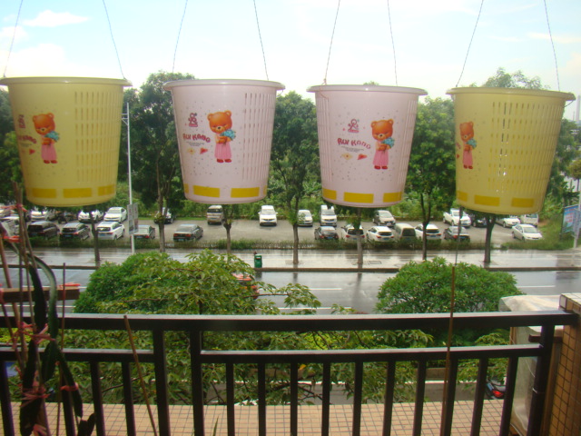 蒼蠅甕----中歐*版