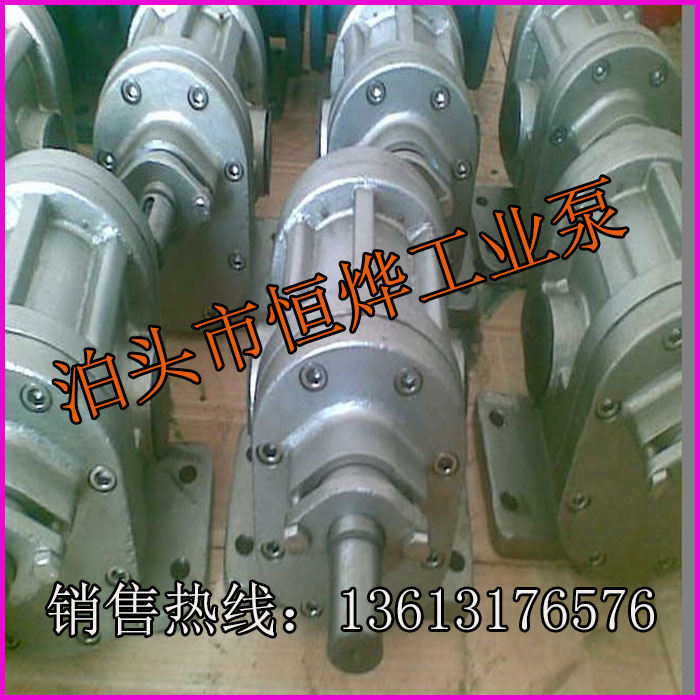 廠家供應(yīng)優(yōu)質(zhì)2CY不銹鋼齒輪泵，耐腐蝕齒輪泵，食品輸送泵