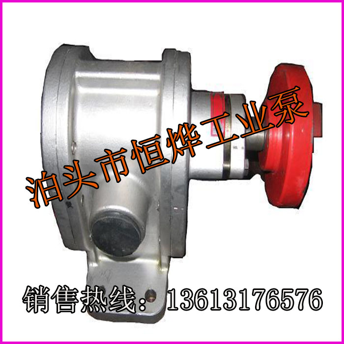 廠家供應(yīng)優(yōu)質(zhì)2CY不銹鋼齒輪泵，耐腐蝕齒輪泵，食品輸送泵