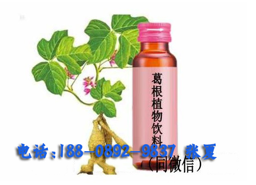 專業(yè)加工各種植物飲料飲品定制工廠