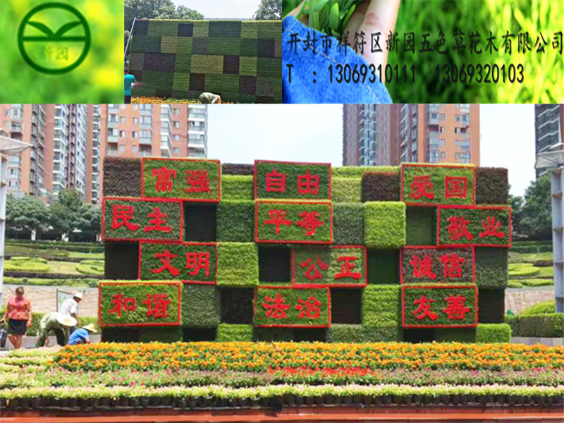 開封新園五色草造型 開封新園五色草造型乘風(fēng)破浪