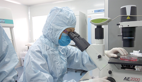 MOVAS貼壁細胞系