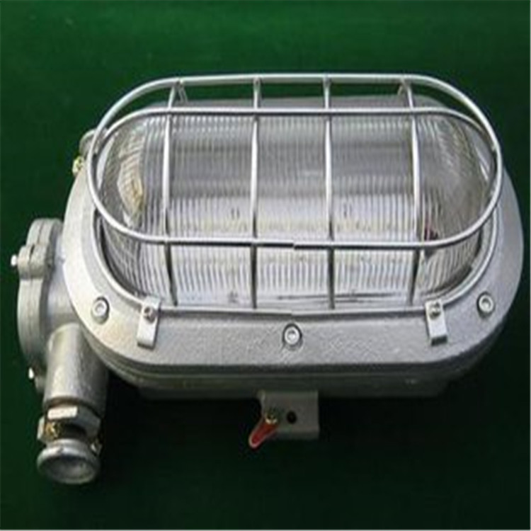 DGC35/127N隔爆型支架燈