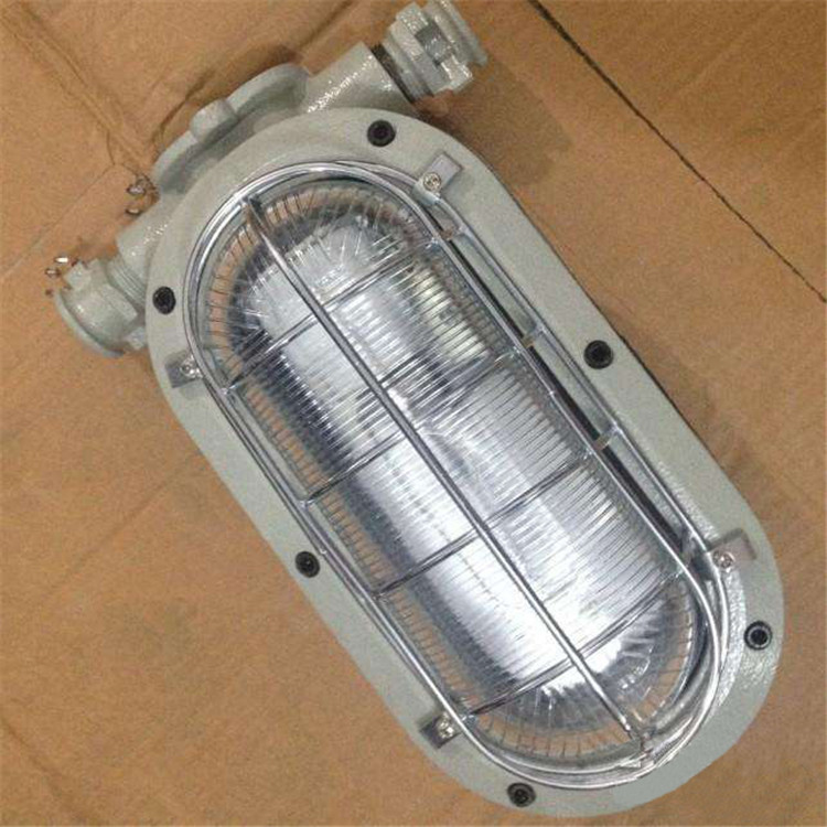 DGC35/127N隔爆型支架燈