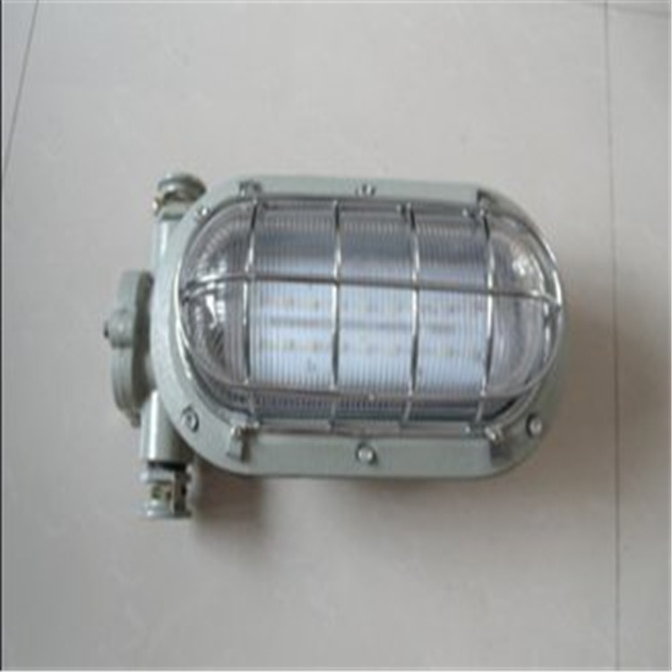 DGC35/127N隔爆型支架燈