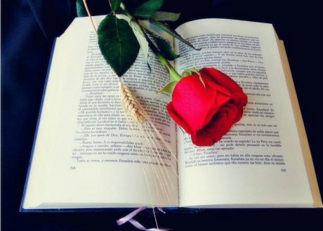 蒸發(fā)器用TA1  2.0mm鈦板