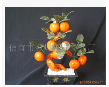 小八桔子 盤景 小八桔子廠家 盤景批發(fā) 小八桔子