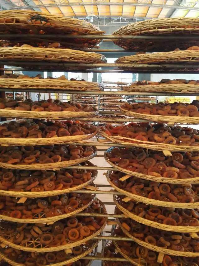 供應(yīng)節(jié)能柿餅熱泵烘干機(jī) 億思?xì)W節(jié)能科技，專業(yè)品質(zhì) 【節(jié)能】柿餅熱泵烘干機(jī)