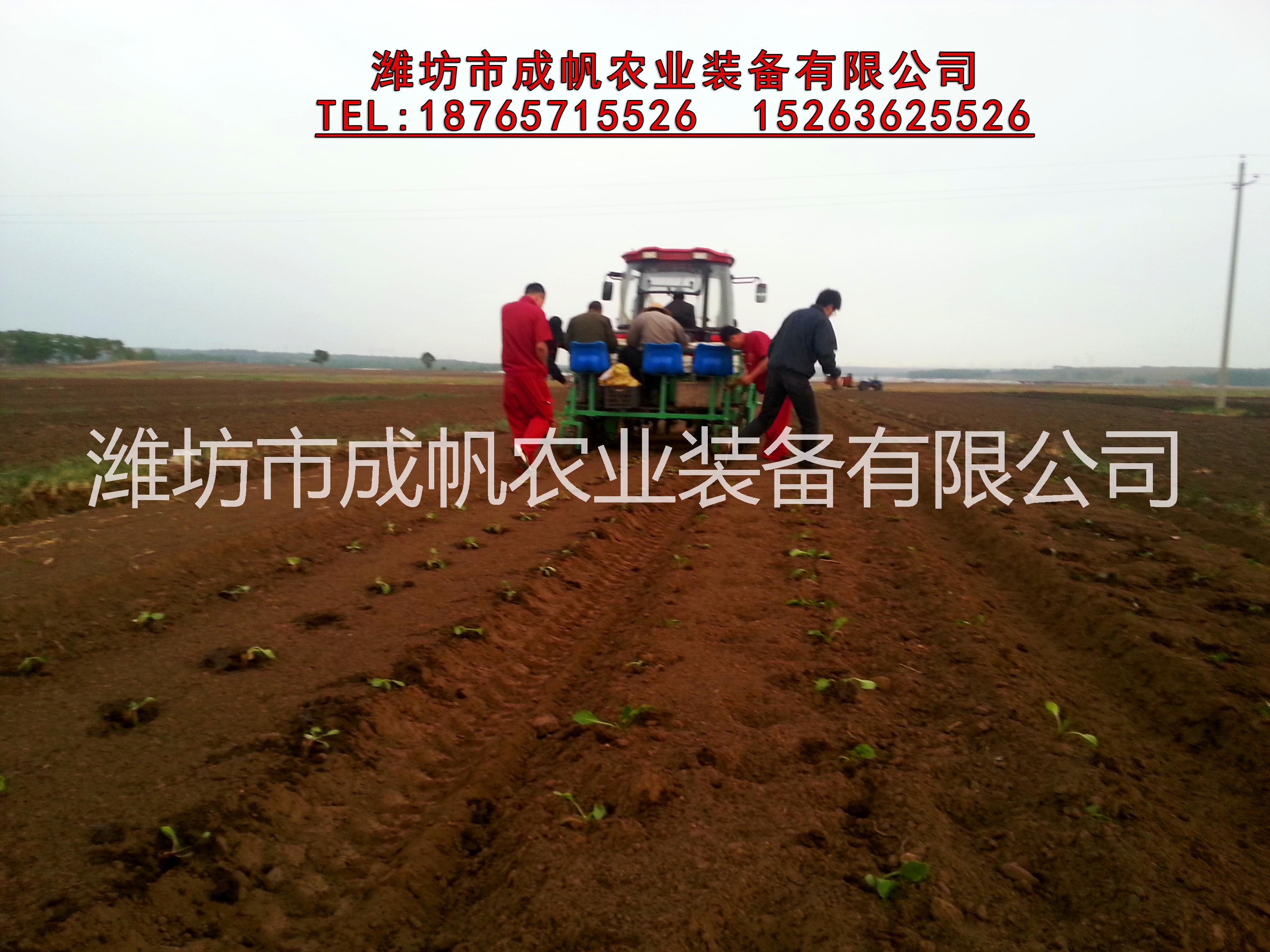 藥材 蔬菜移栽機 移栽機鋪膜 玉米