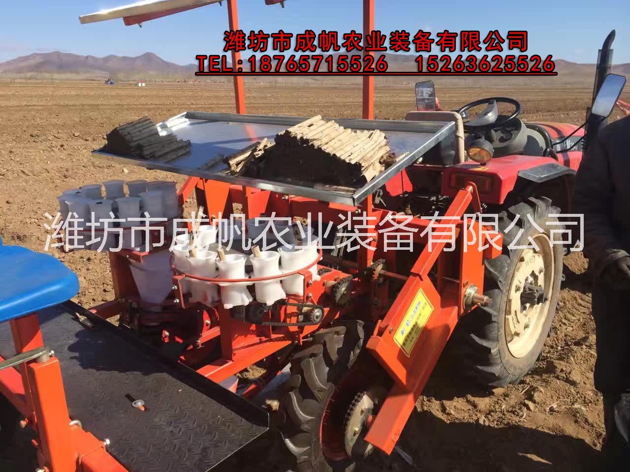 辣椒 2TX-2型胡蘿卜移栽機(jī) 甘藍(lán)