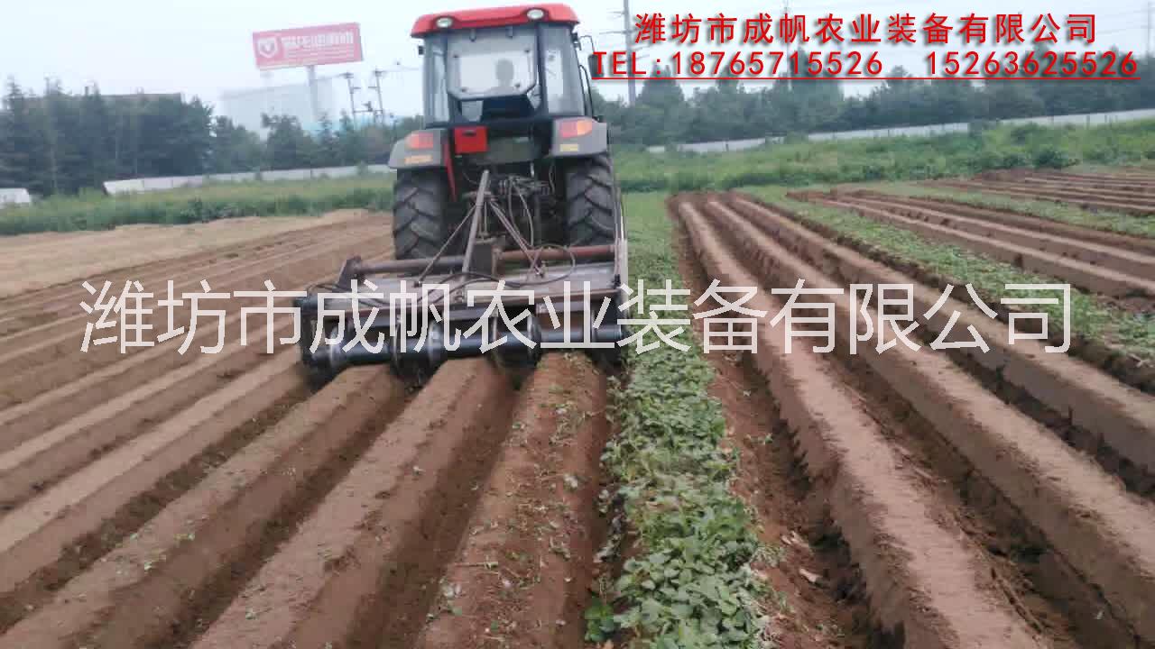 開溝 起壟機(jī)鋪膜 施肥